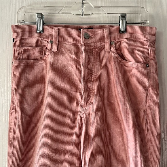 Citizens Of Humanity Blush Corduroy Pants - Picture 3 of 12